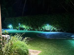 Don Cyrils Bungalows