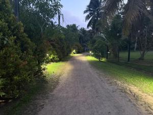 Don Cyrils Bungalows
