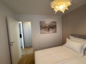 Studio Apartments Luma