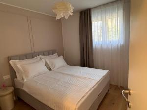 Studio Apartments Luma