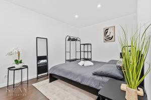 Beautiful Flat in City Center !