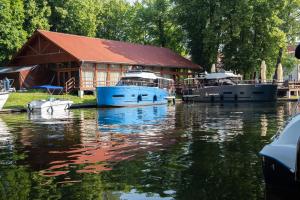 Camping ZAMEK C1