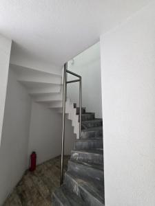 Nemesis Otel