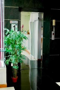Blue Orchids Hotel