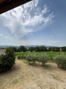 Casale Vigna Clara