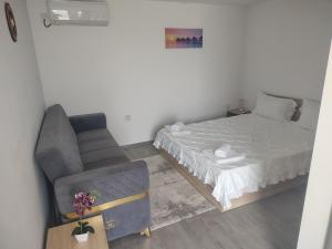 Casa Theopa