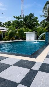 Coconut Leaf Shadow Guest