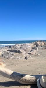 Hippocampe 2 chambres