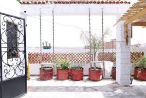Duplex Premium and Terrace Oasis -Belgaid