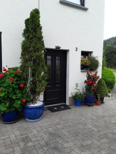 Ferienwohnung - Hunz