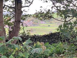 Stony Thwaite
