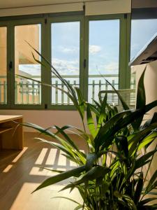 Premium Front Sea View & Pool Flat