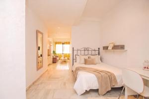 Lovely apt in the city center - 15m walk Giralda