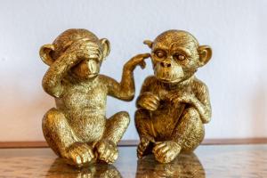 Casa Monkey Business