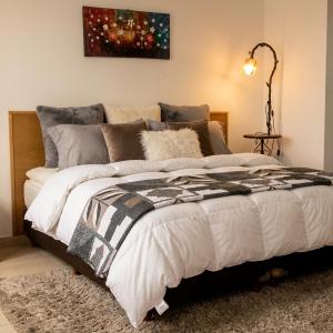 Deluxe Apartments, Campo de Polo-Movistar Arena-Club River-GEBA-Embajada USA