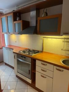 Dzirciema apartment