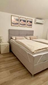 Aura Apartments