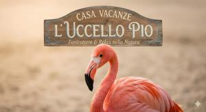 L’uccello Pio
