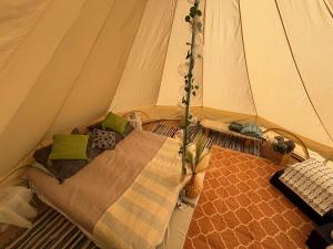 Lahemaa Nature Glamping - Kuma