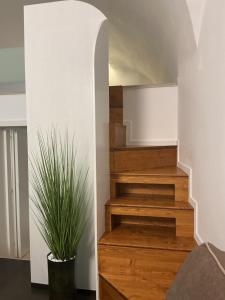Moira Luxury Appartament
