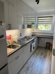 Calm Nest Suite