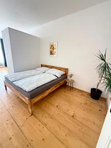 Apartmány 88