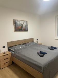 Alpinchalet Eisenerz