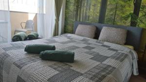 Apartamentai su baseinu