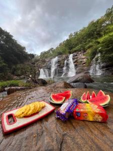 Okwin Resort Nawalapitiya