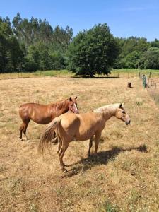 Linhares - Country House Turismo, Natureza e Aventura