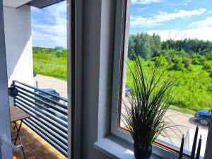 Apartament Zdrojowy Busko - Premium, nowy, osobna sypialnia, bezpłatny parking, ekspres