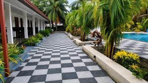 Coconut Leaf Shadow Guest