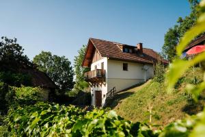 Kellerstöckl Kranach 76