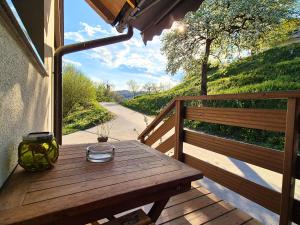 Apartmaji s Savnami - Wellness Gobi
