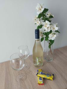 SióLaTeri Apartman