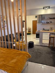 Apartman Iva