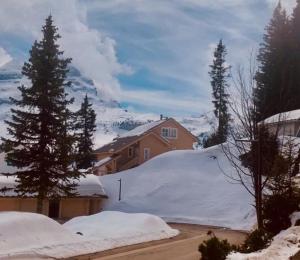 Chalet Elodie Flaine