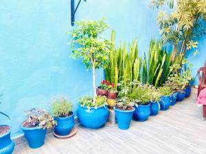 Cosy appartement avec patio au centre ville, bien équipé, Fibre haut débit