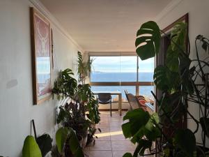 Departamento en Reñaca con hermosa vista al Mar