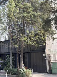 Loft with Urban View · Walk Everywhere Roma Norte