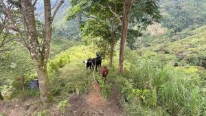 Montes de Moriah