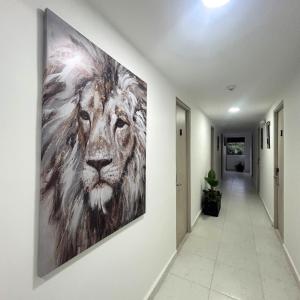Hotel Zona Oro