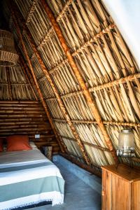Tribu Hostal