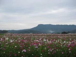 Grand Plaza Nakatsu Hotel
