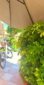 Vickys Guesthouse