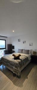 Moderno apartamento en Zona 10 con parqueo y piscina