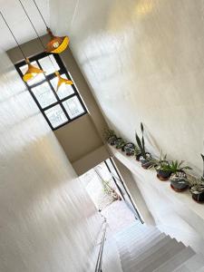 Home by Delia