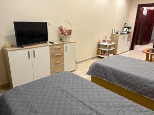 Miramar Palace 509S