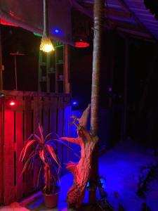 Ruby Wooden Cabana Ella