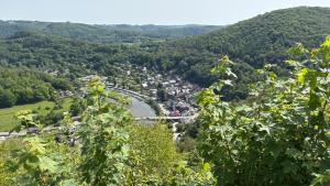 Au fil de la Semois